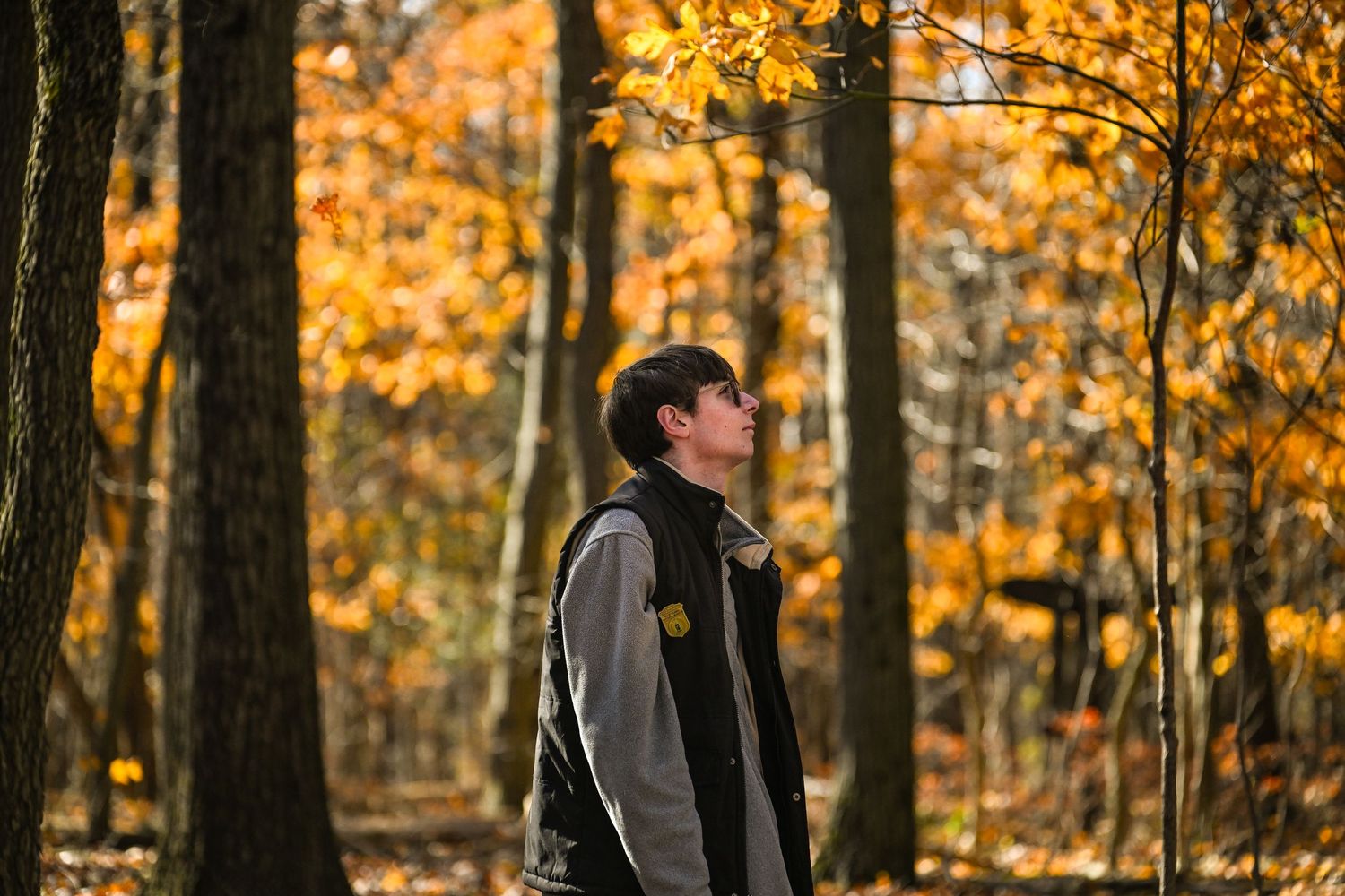 photograph of a young man facing in profile view to the camera with lots of bright yellow foliage in the background