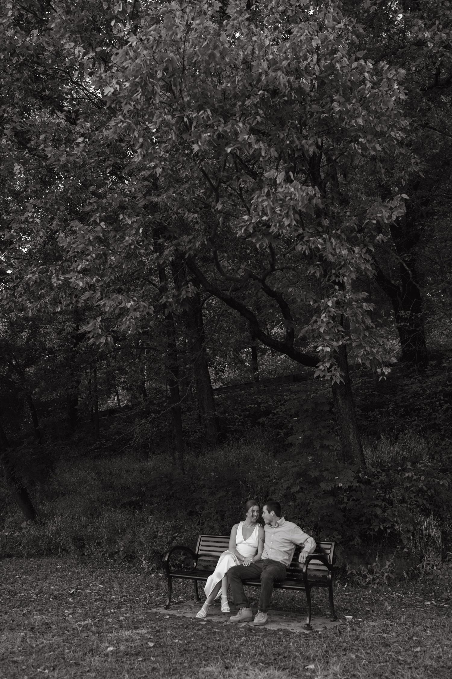 A romantic couple sitting together on a park bench surrounded by lush trees.
