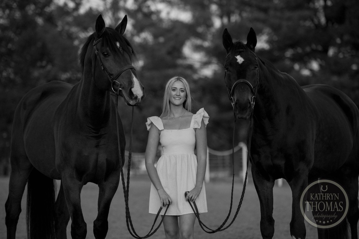 Person in white dress stands centered between two beautiful black horses in dramatic lighting.