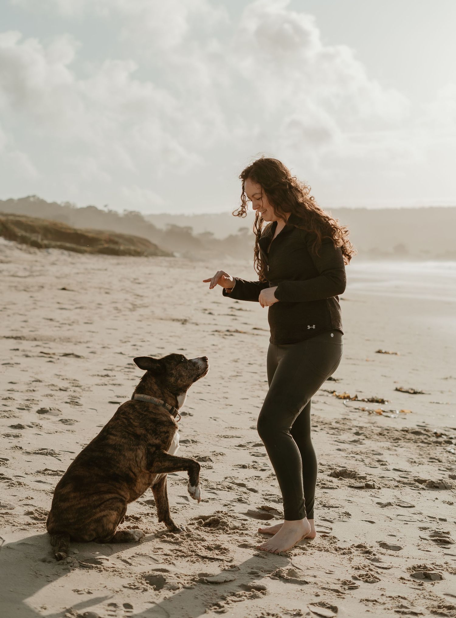 A dog and person interact playfully on a misty beach at sunset with dramatic cloudy skies in the background.