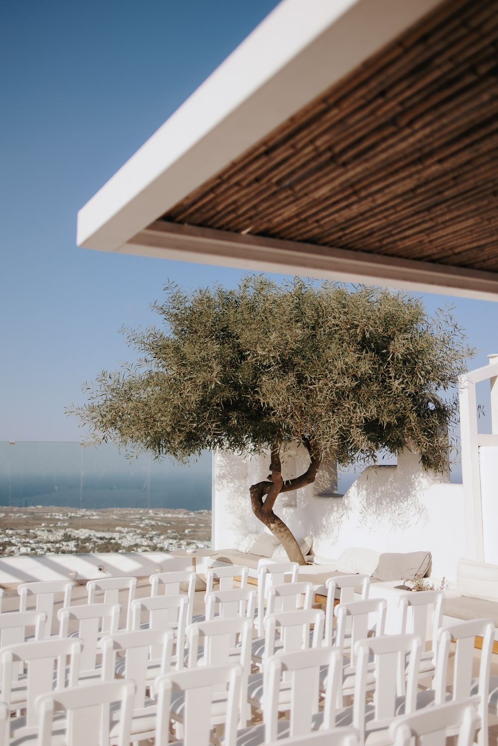 White chairs arranged for a seaside wedding ceremony with an olive tree against a whitewashed wall and ocean view.