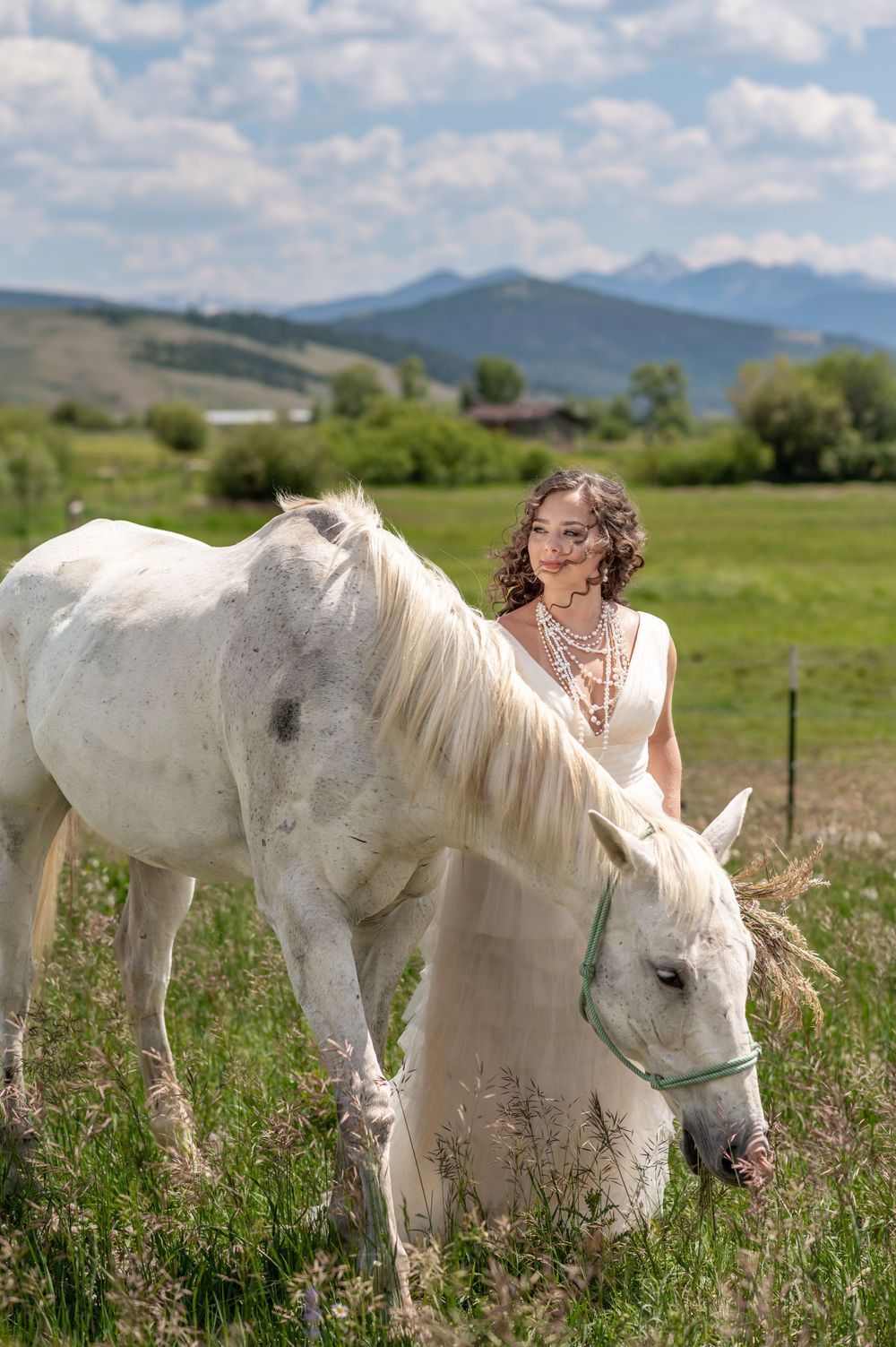 A beautiful white horse grazes in a mountain meadow on a sunny summer day with rolling hills in the background.