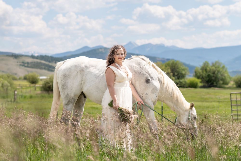 Beautiful white horse grazes in tall meadow grass with mountains in the background on a sunny summer day.