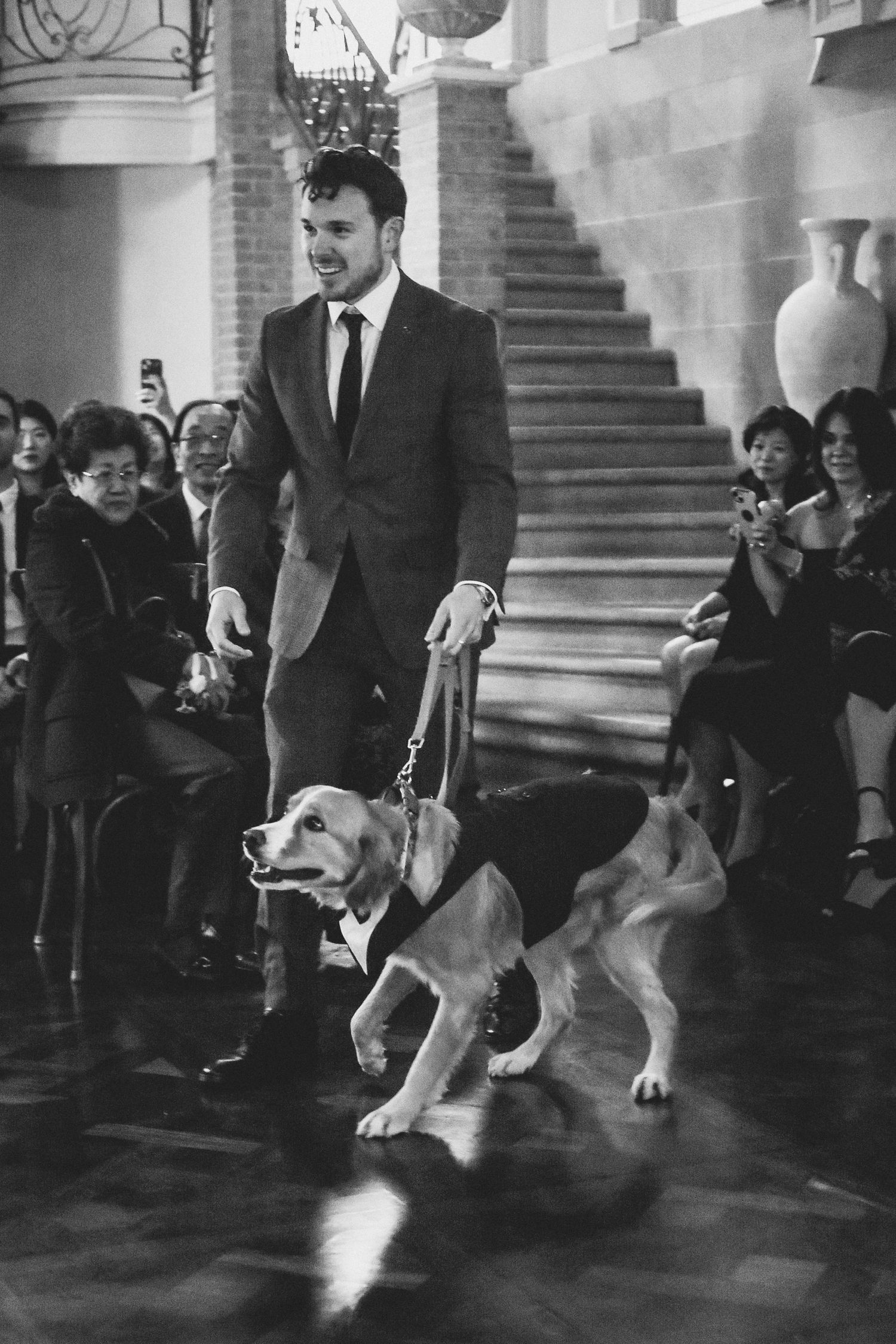 A suited person walks down elegant stairs with a beagle service dog while onlookers watch from the sides.