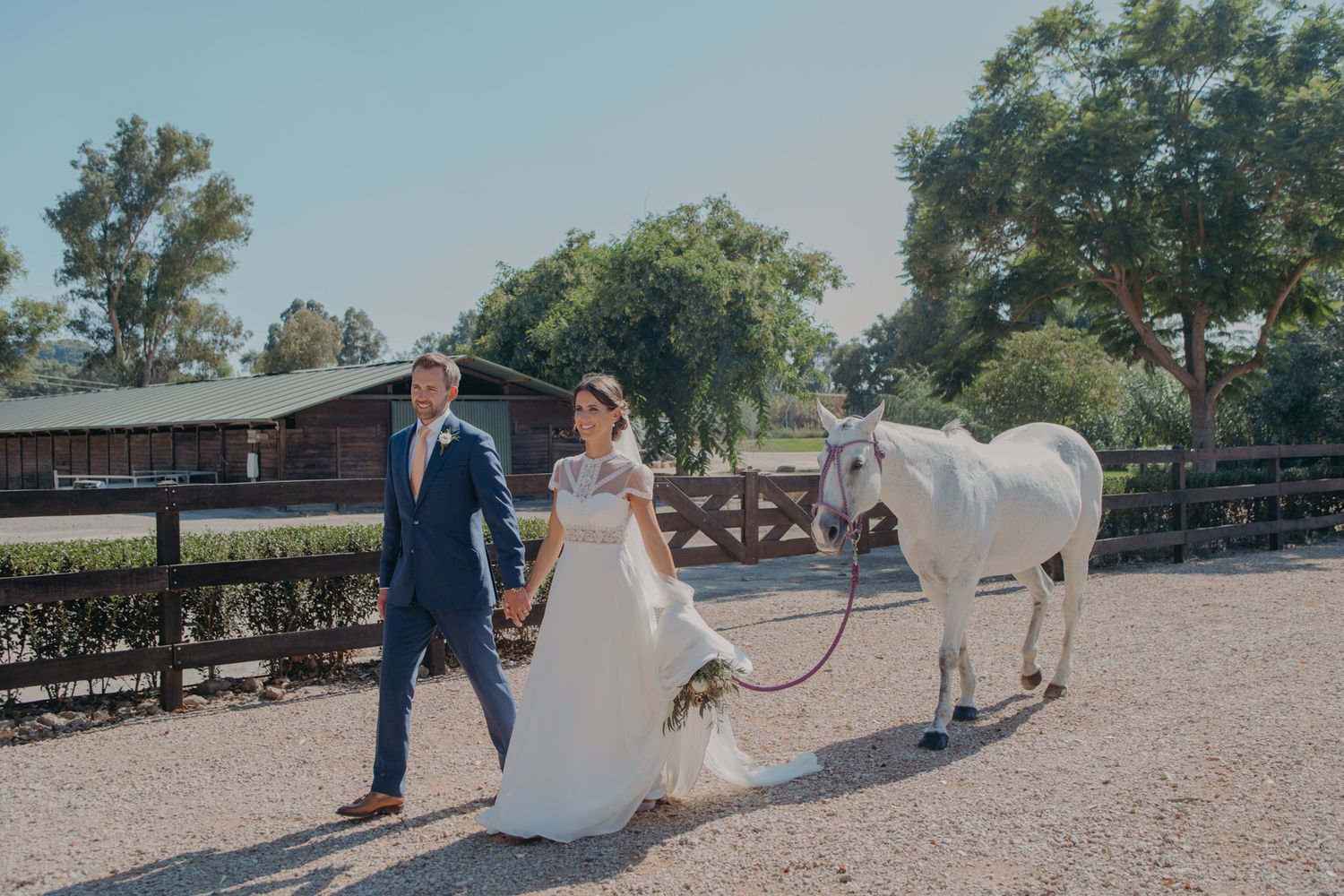 A couple in wedding attire walks hand in hand next to a white horse on a sunny day at a rustic ranch setting.
