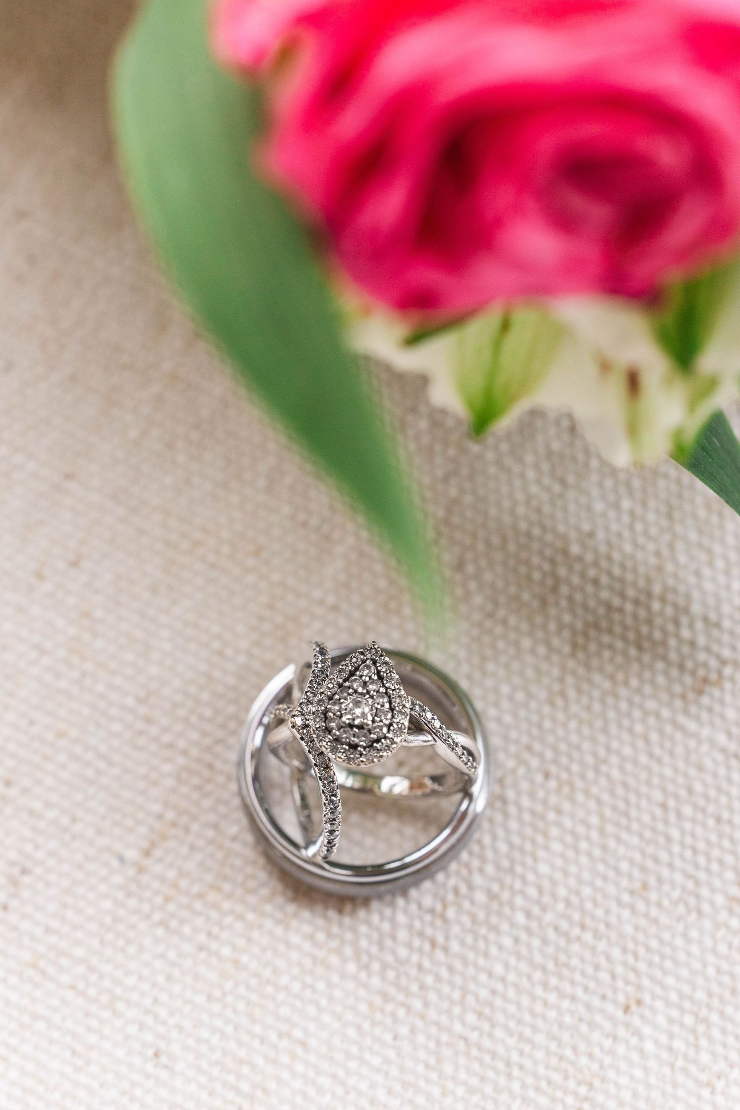 A close-up of an ornate engagement ring with a blurred red rose in the background.