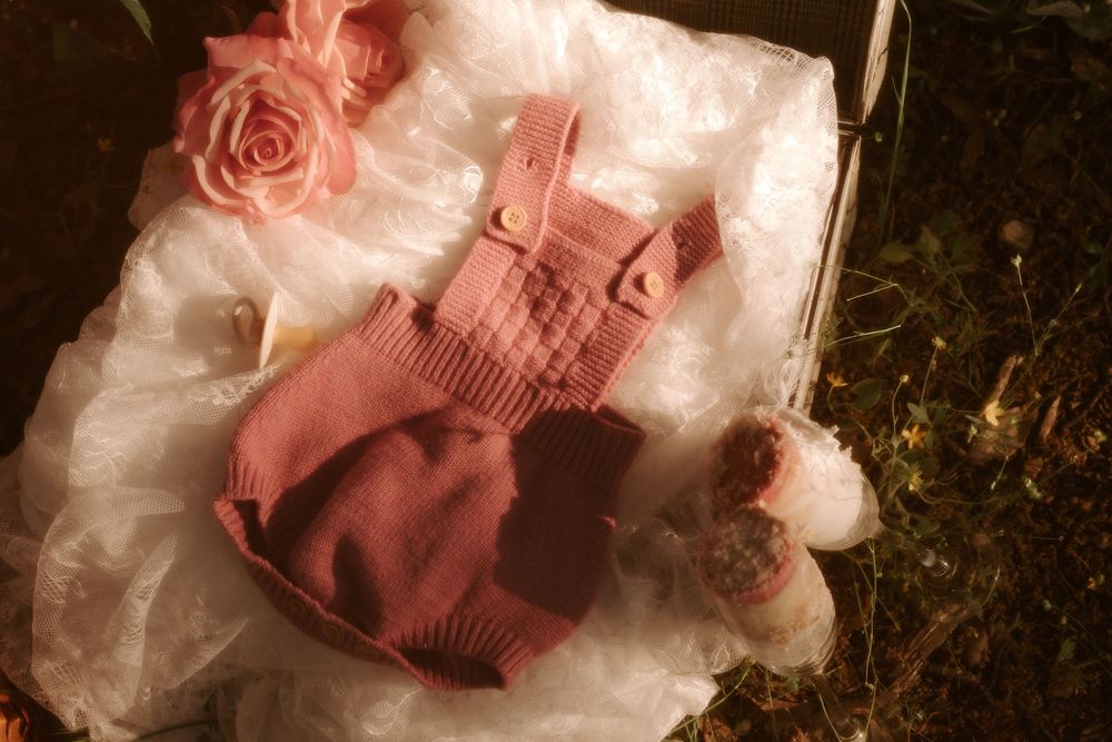 Soft pink roses and vintage photographs create a romantic, nostalgic still life composition in natural light.
