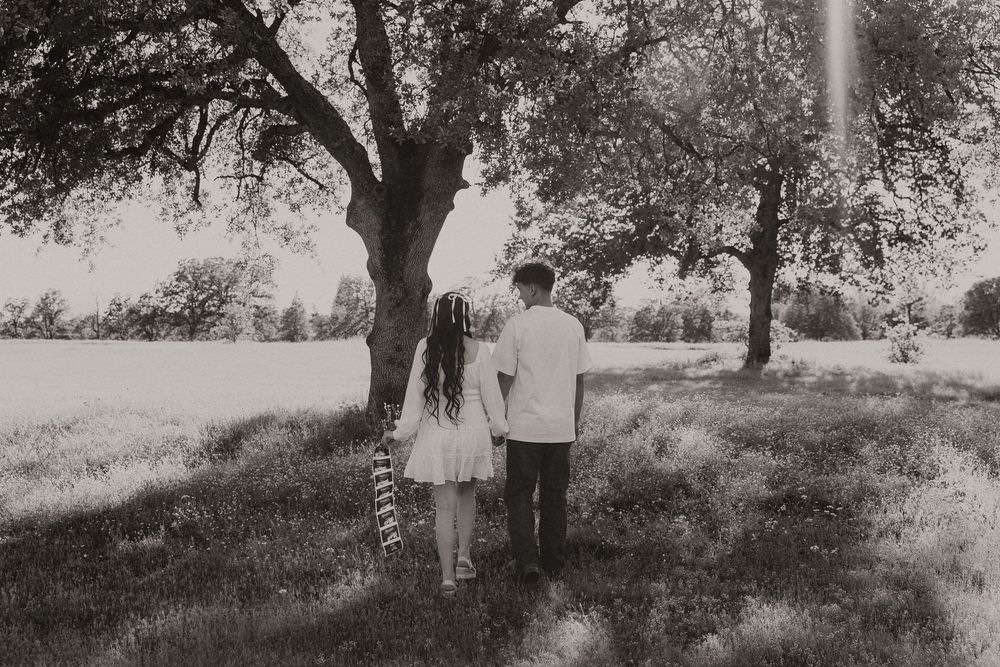 A romantic black and white photograph of a couple standing beneath a tree in a sunlit meadow.