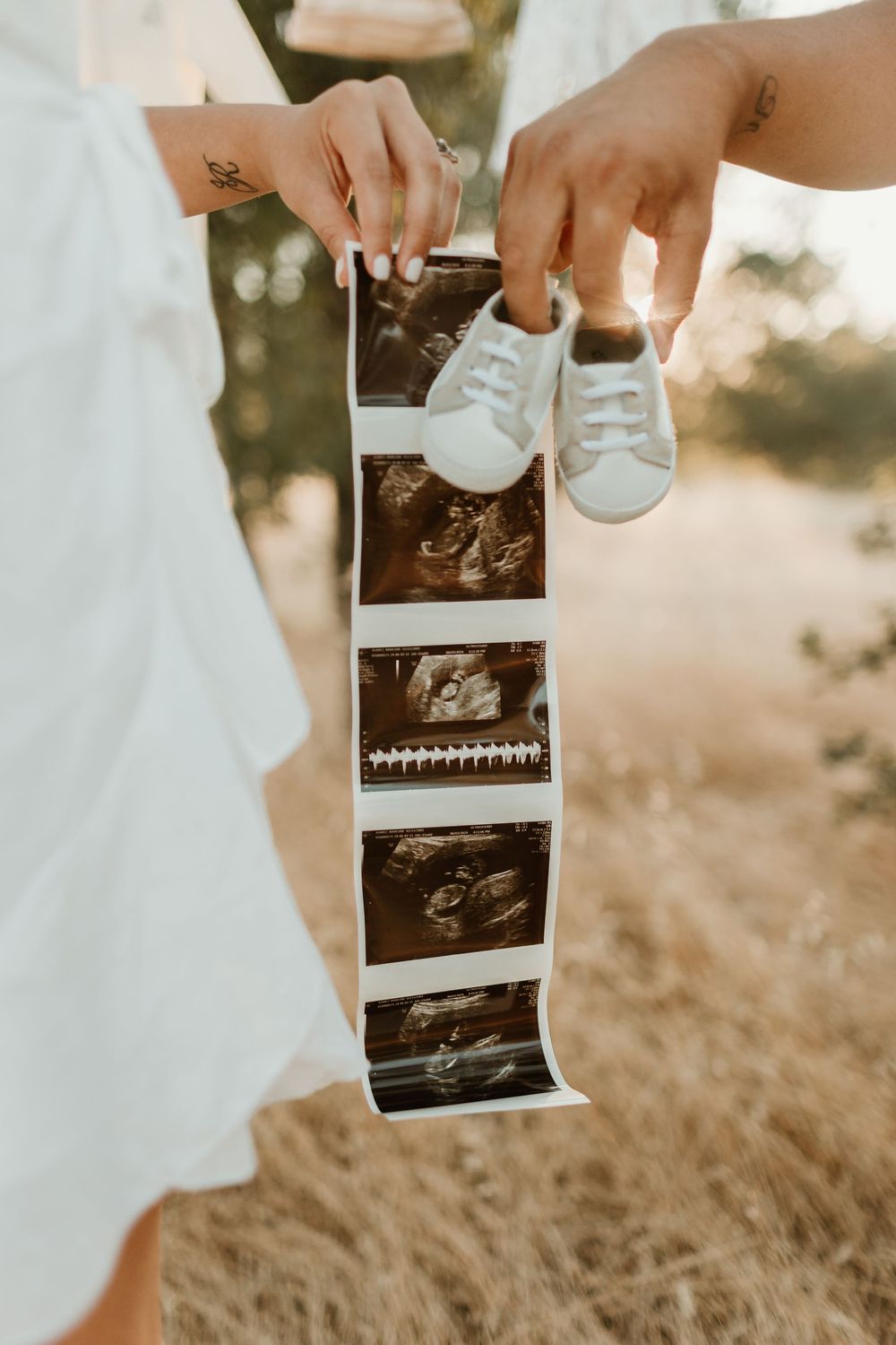 Hands holding ultrasound photos of a baby in a sunlit field of tall grass.