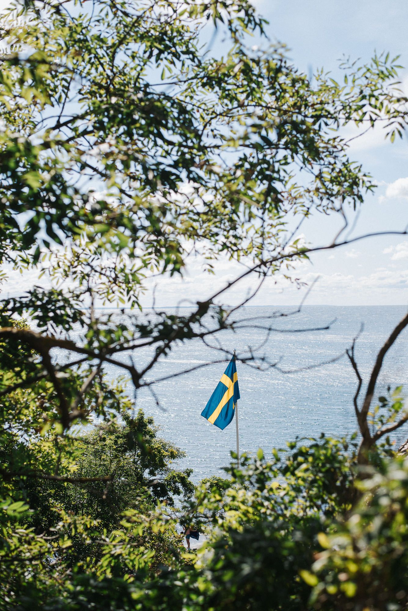 Swedish flag hanging from tree branch with ocean view and blue sky in background.