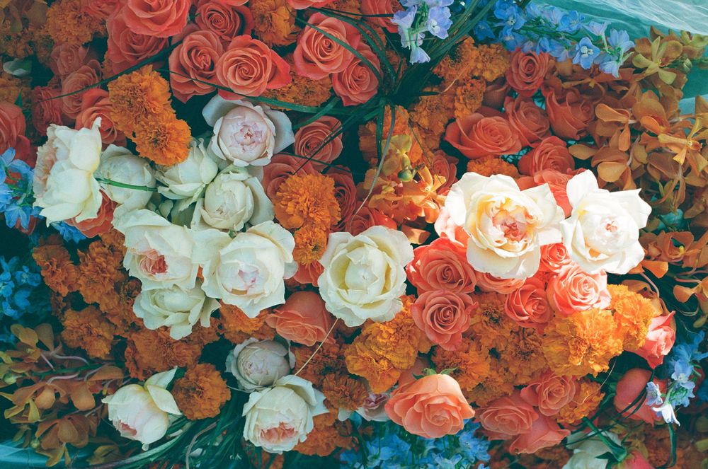 Film wedding photographer in Virginia. Candid, documentary style photos. Soulful imagery for the romantics. Wedding photography that lasts.