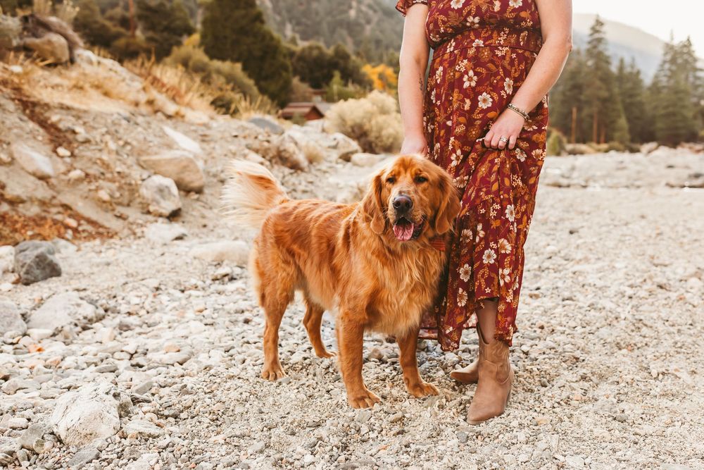 A person in a floral dress stands with their golden retriever dog on a rocky mountain trail during sunset.