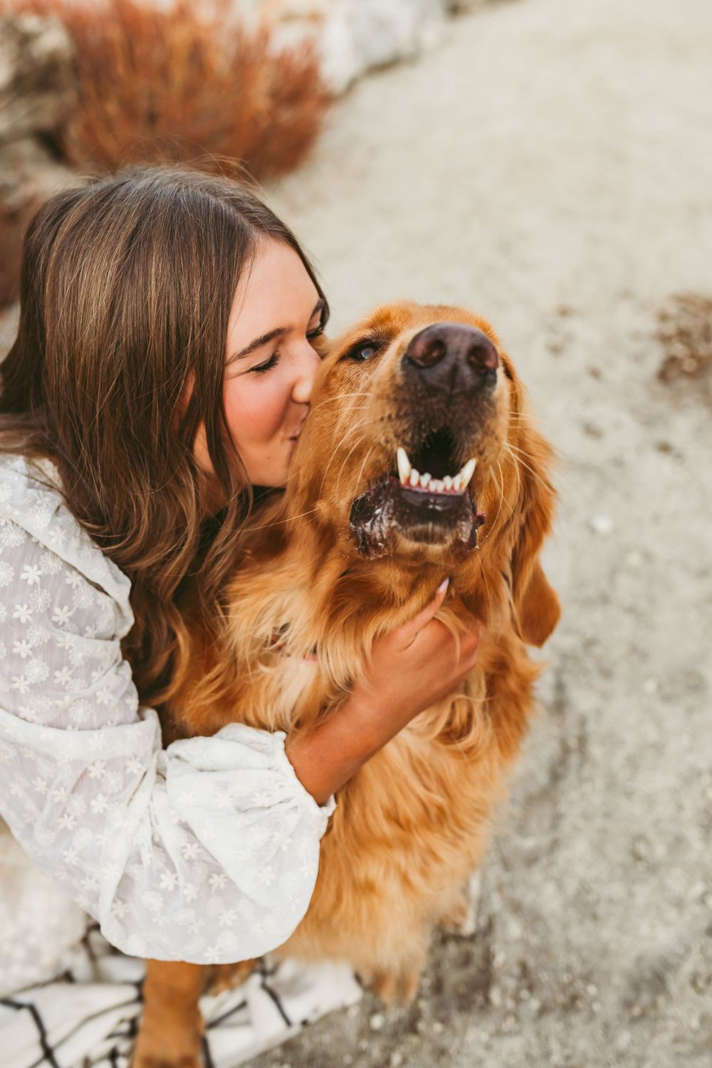A heartwarming sequence of four photos showing tender moments between a Golden Retriever and someone in a white top.