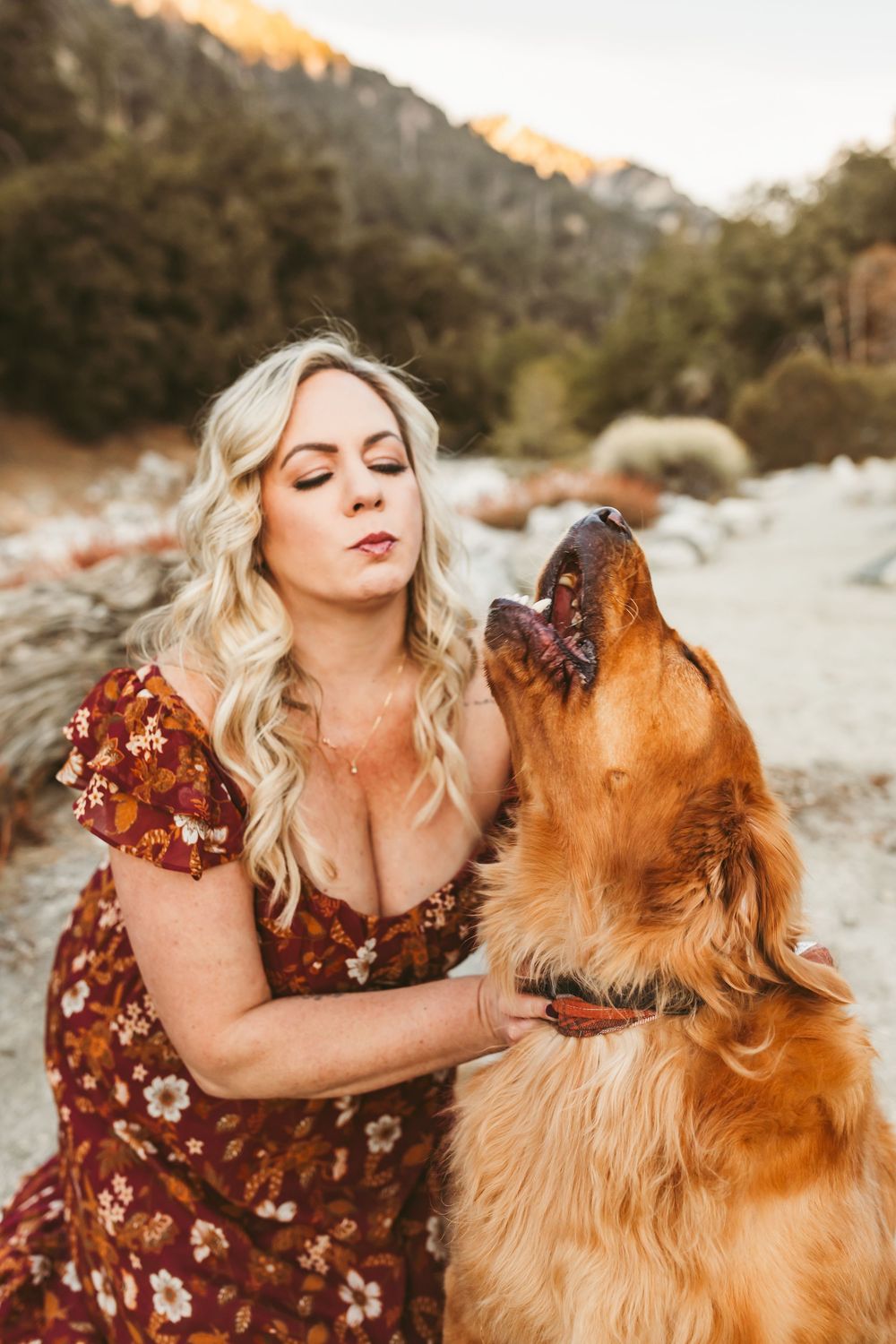 A Golden Retriever and someone in a burgundy floral dress share affectionate moments in golden sunlight.
