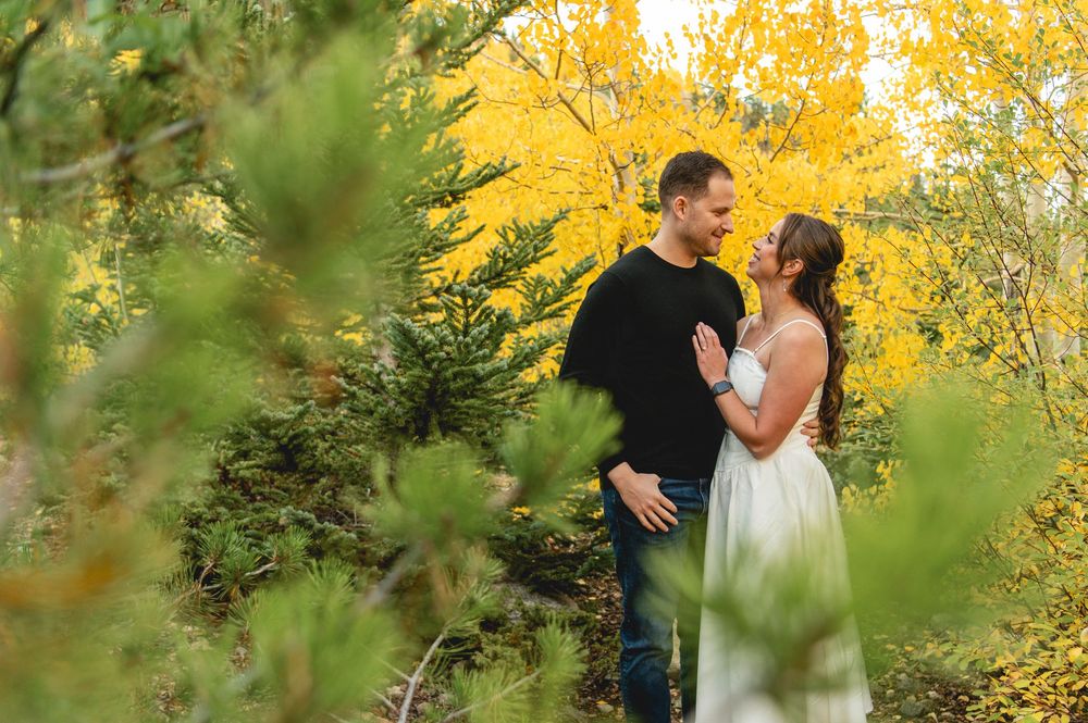 A couple shares an intimate moment against a backdrop of vibrant yellow autumn foliage and evergreen trees.