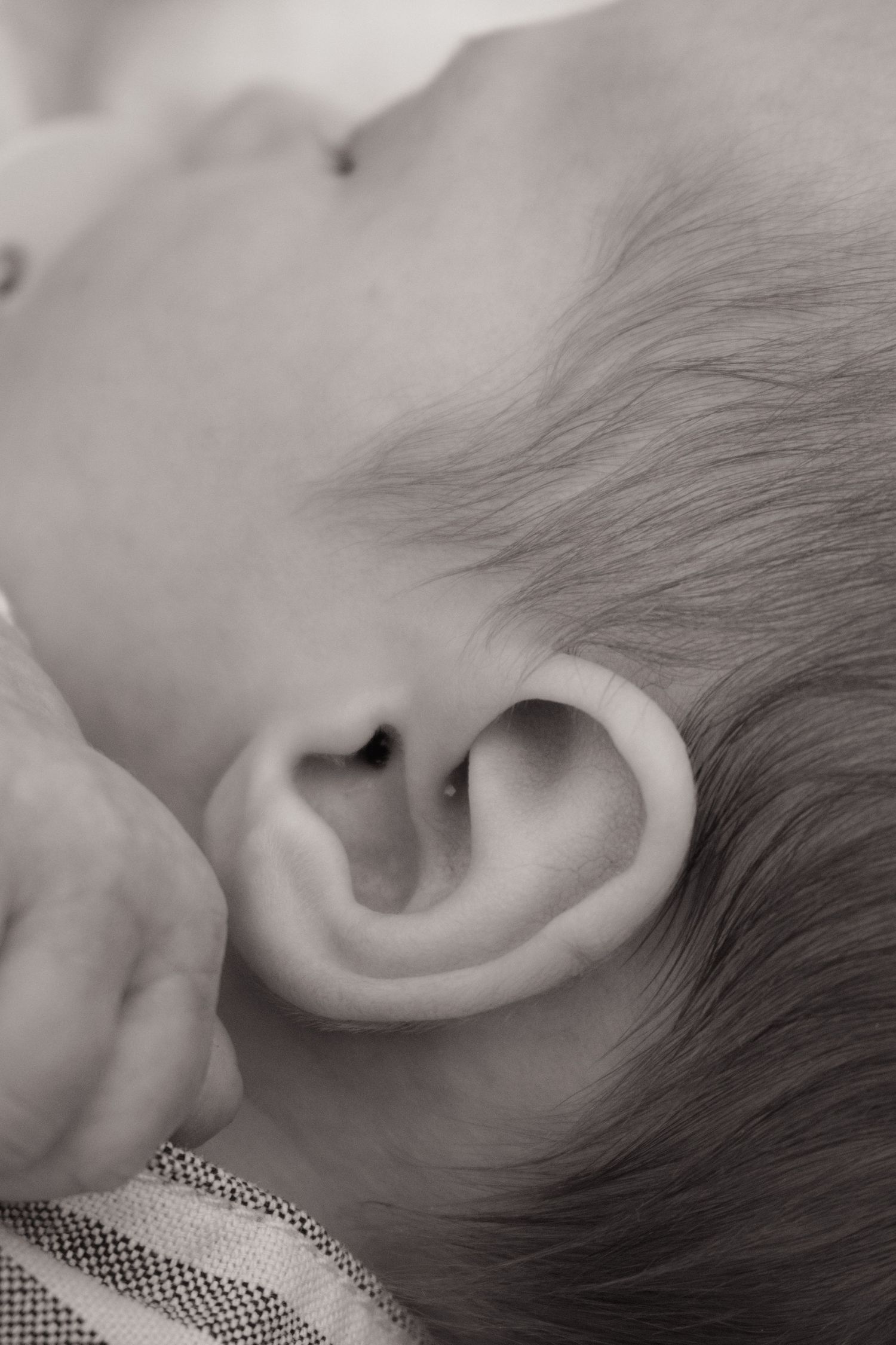 Newborn sleeping, close up image of baby's ear and hair. During Newborn photoshoot Maitland NSW