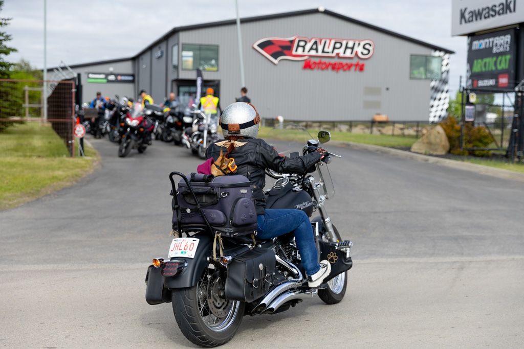 Row of motorcycles lined up at a Kawasaki dealership with signage visible in the background.