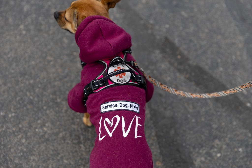 A burgundy winter hat with a heart design and text sits on display.