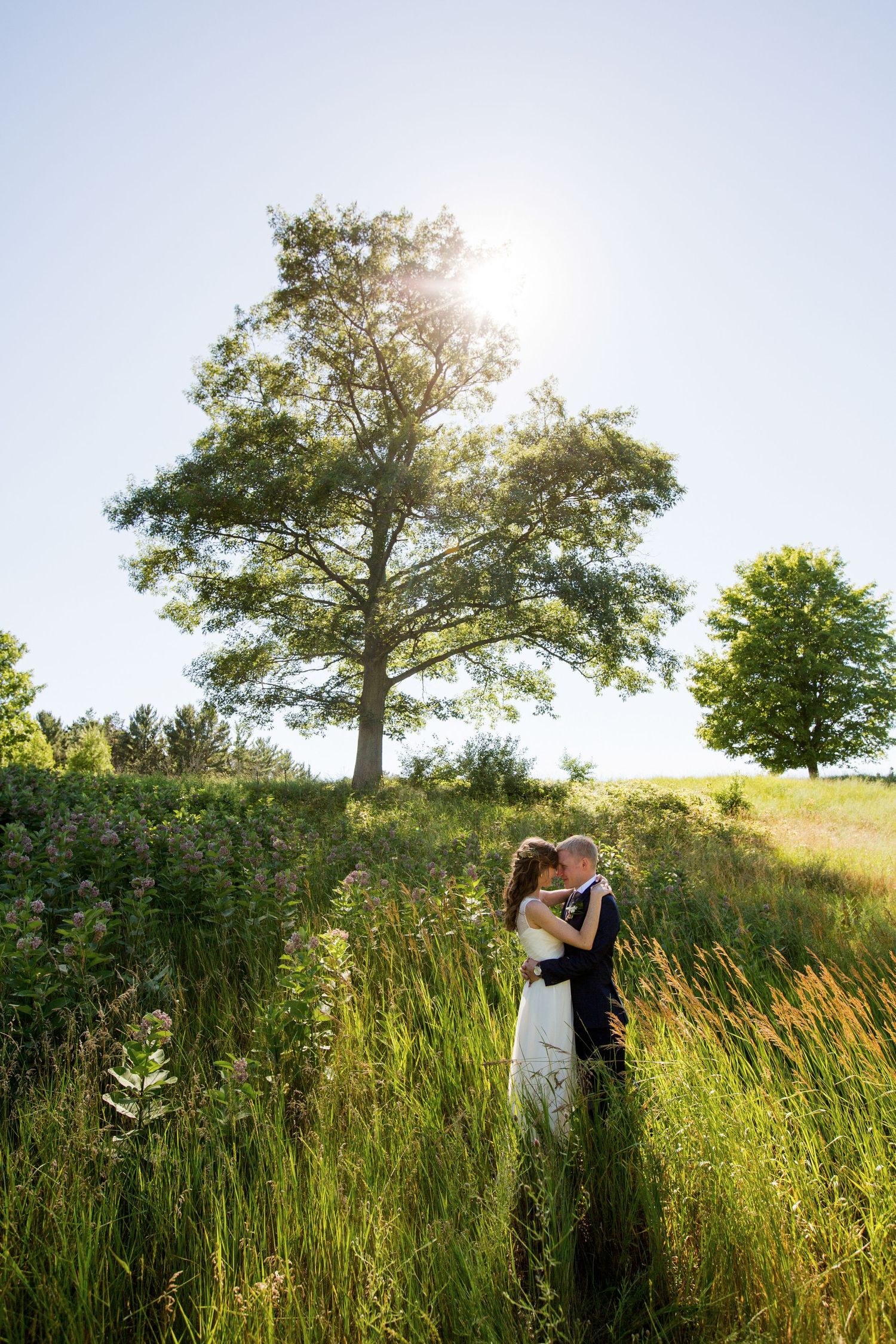 Wedding couple embraces in a sun-drenched meadow with tall grass and trees creating a dreamy summer atmosphere.