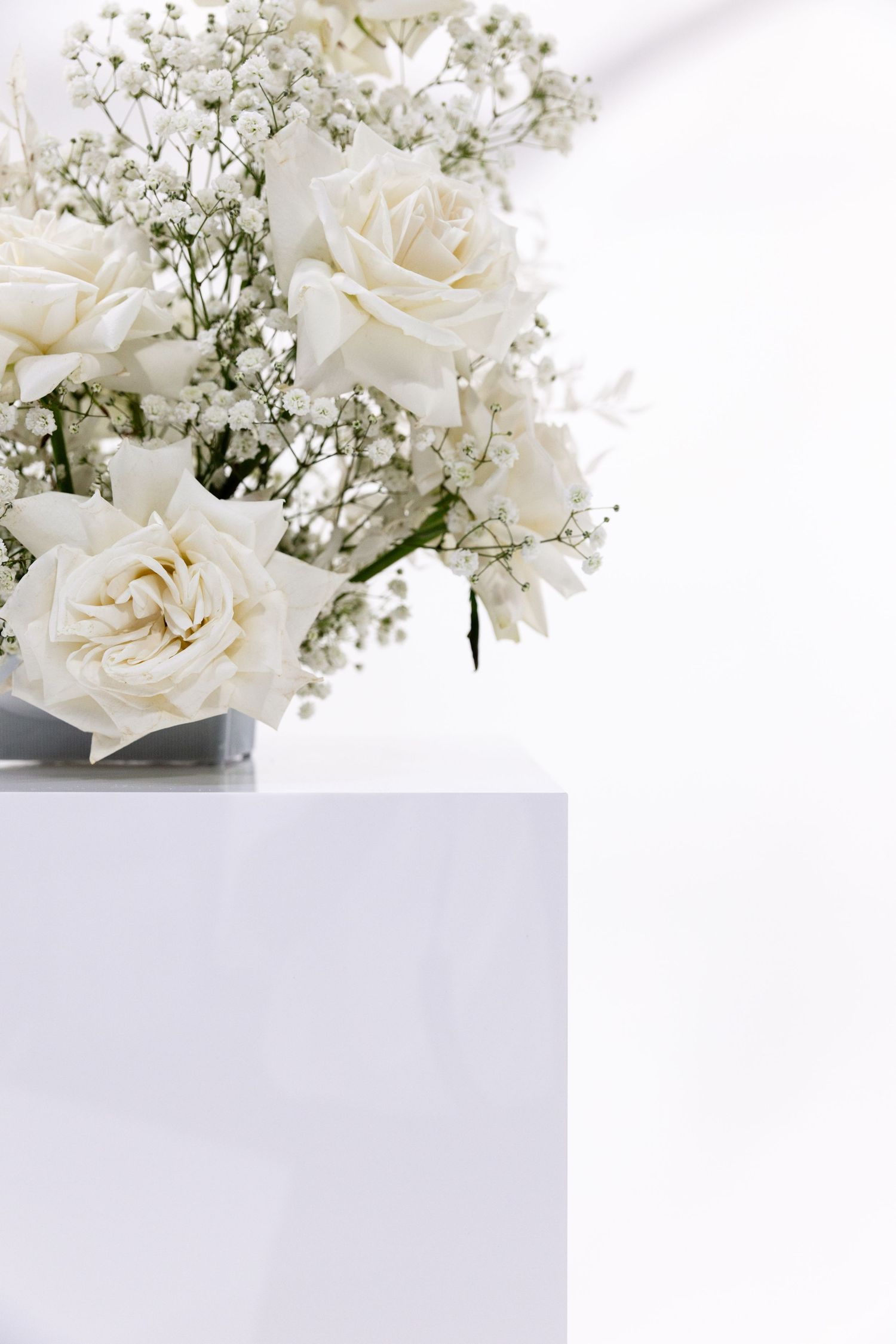 White roses and baby's breath arranged in an elegant floral display against a white backdrop.