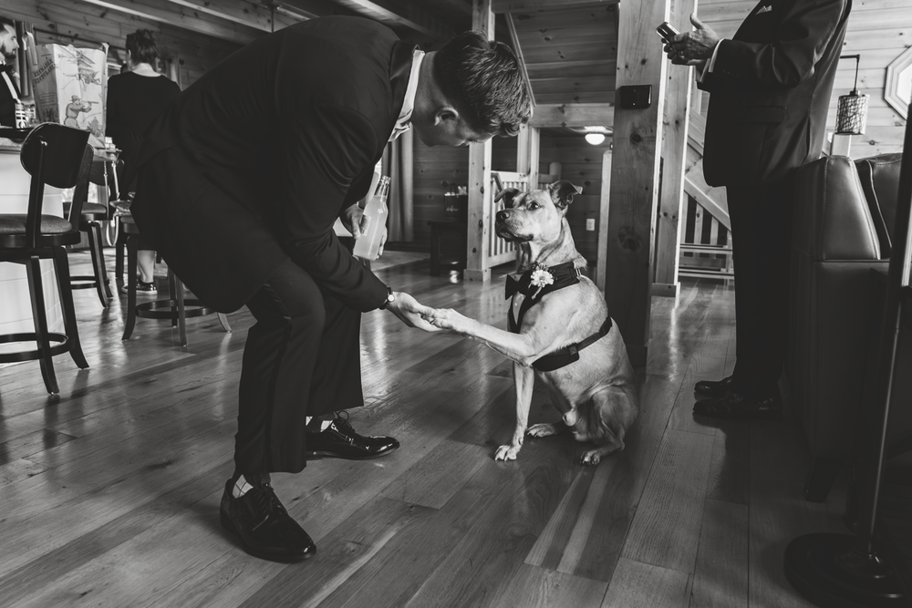 Black and white photo of a dog shaking hands with someone inside a room with wooden floors and bar stools.