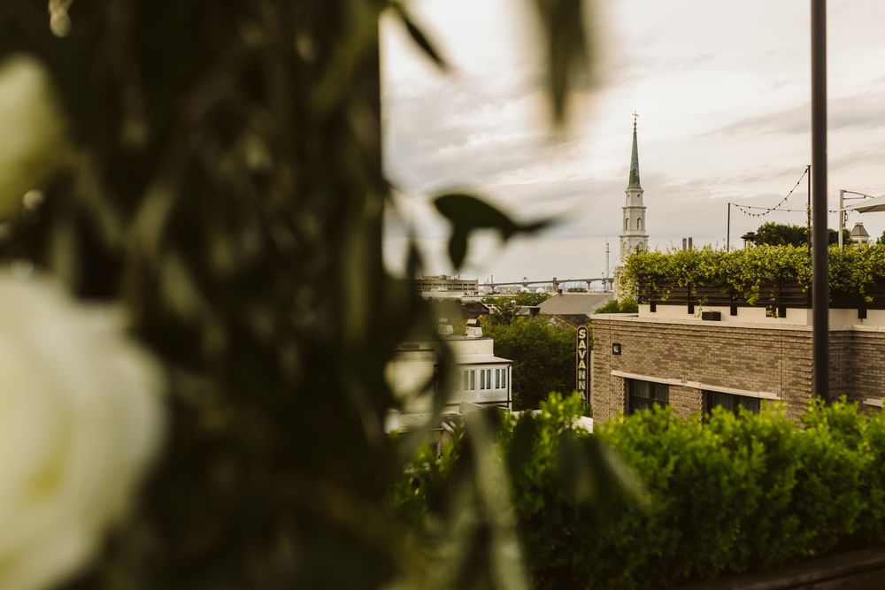 Rooftop view of a church steeple rising above brick buildings and lush green hedges in an urban cityscape.