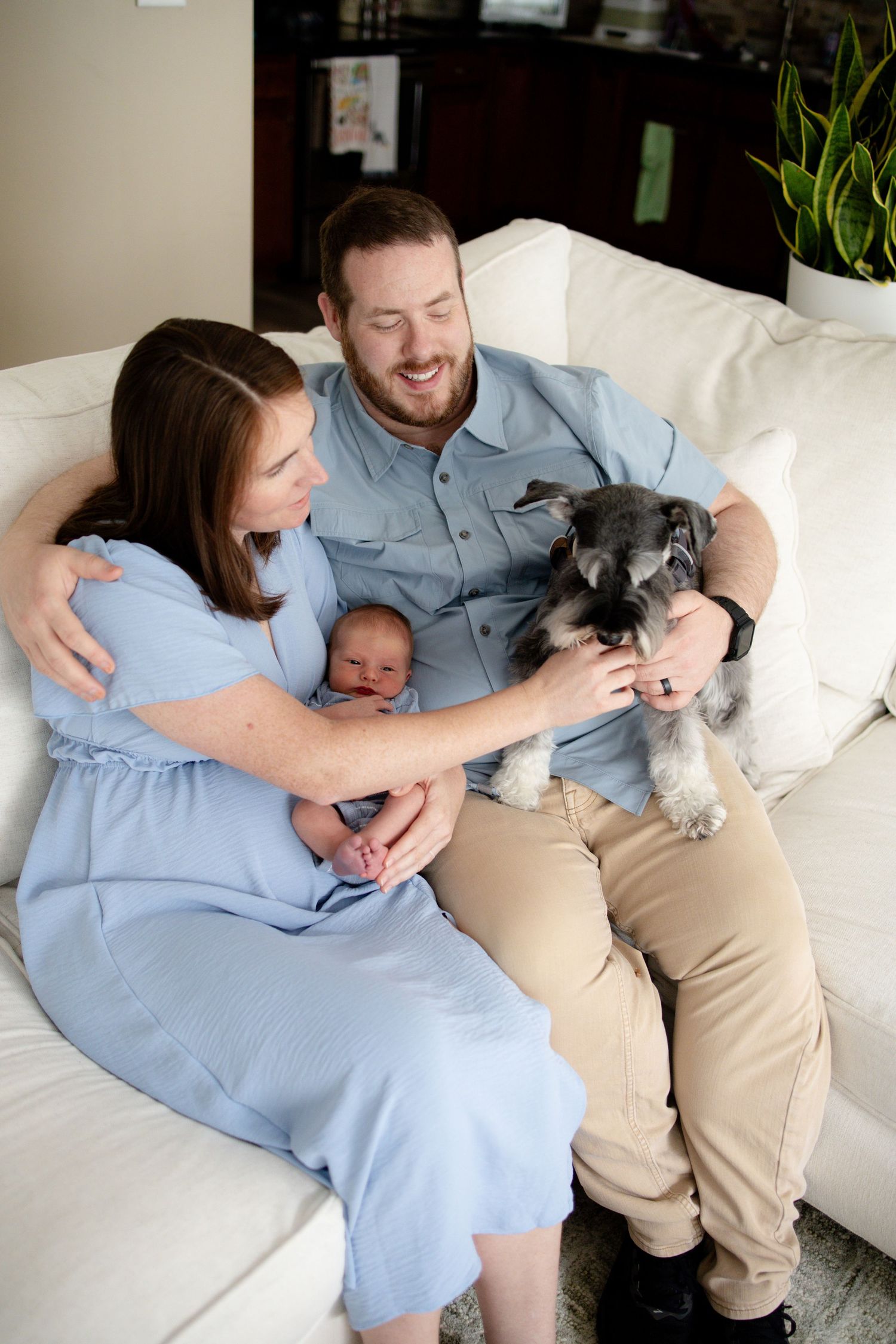 Happy couple in blue outfits sits on white sofa with newborn baby and miniature schnauzer dog.