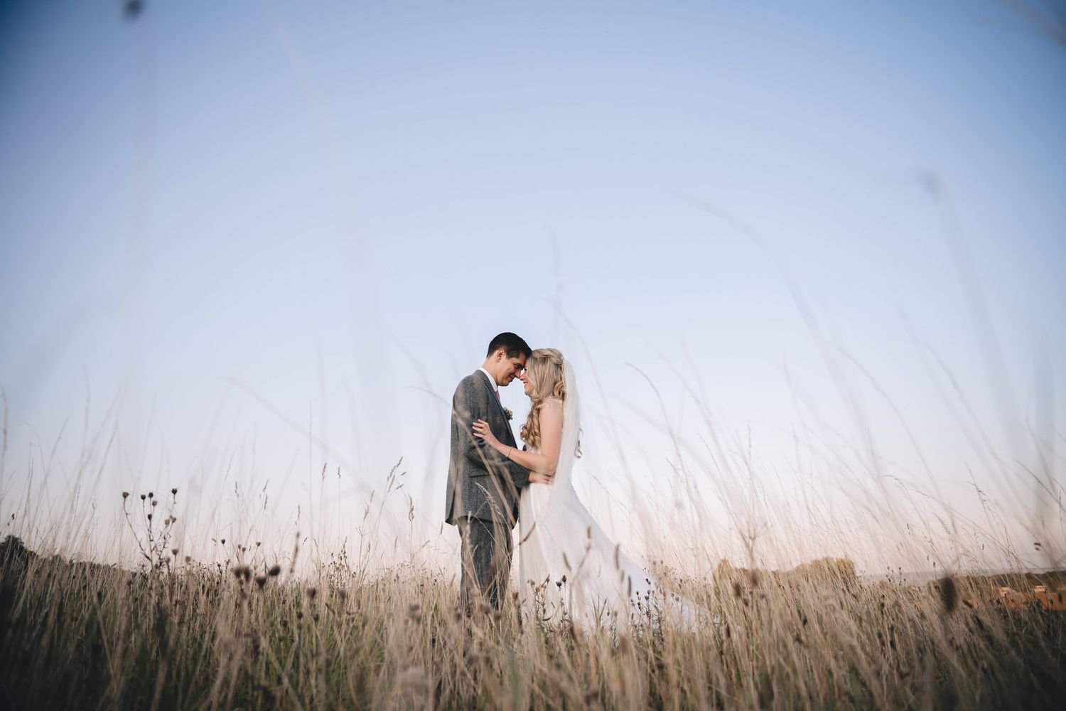 A bride and groom share a romantic embrace in a golden field of tall grass at sunset on their wedding day at Lapstone Barn