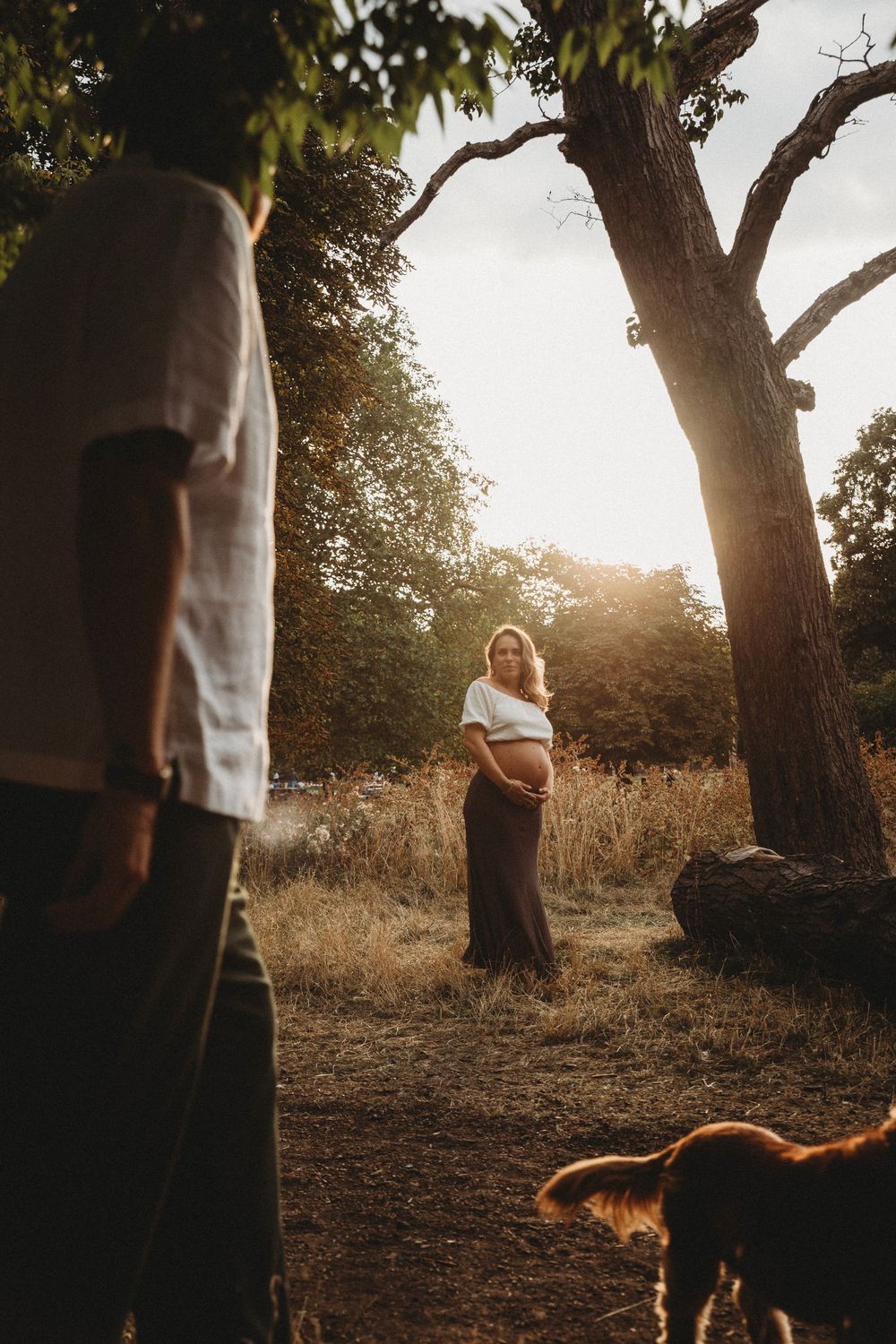 Pregnant woman stands in golden sunlight near trees as her partner and dog look on during an outdoor maternity photoshoot.