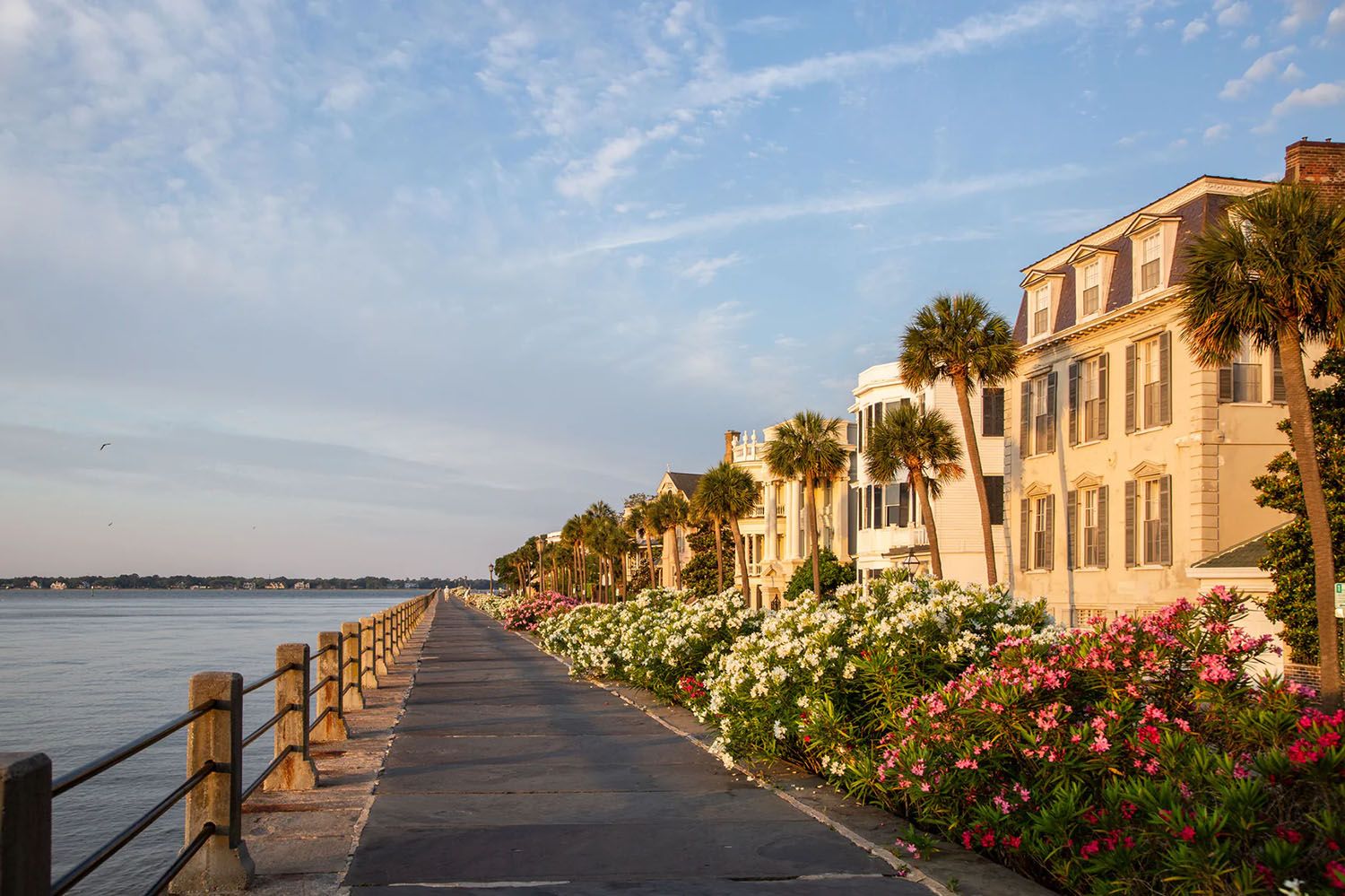 Arthur Ravenel Jr. Bridge illuminated at sunset over the Cooper River in Charleston, South Carolina.