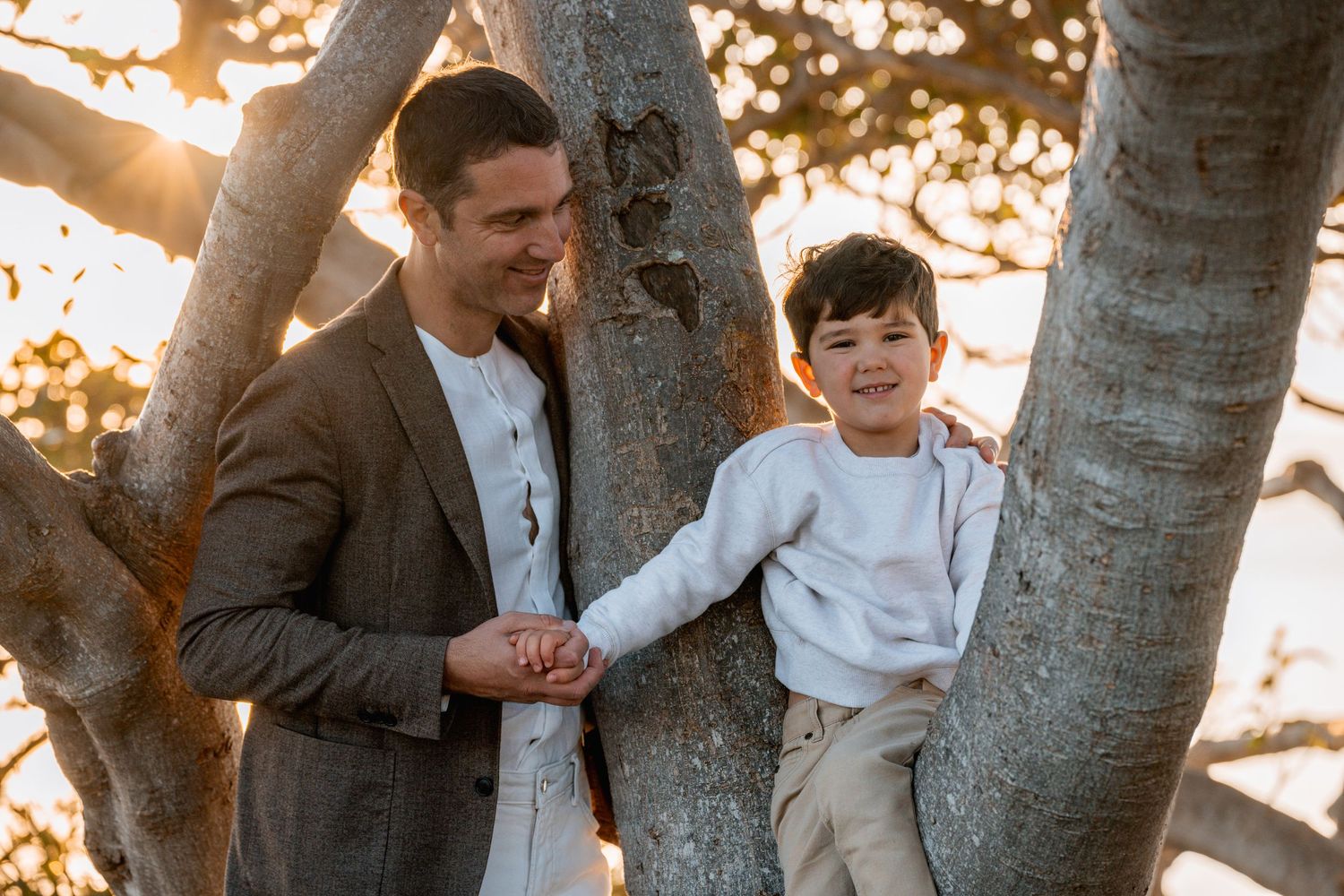 A man and young boy smile together while sitting in a tree, bathed in warm golden sunlight outdoors fathers day photoshoot in rouse hill