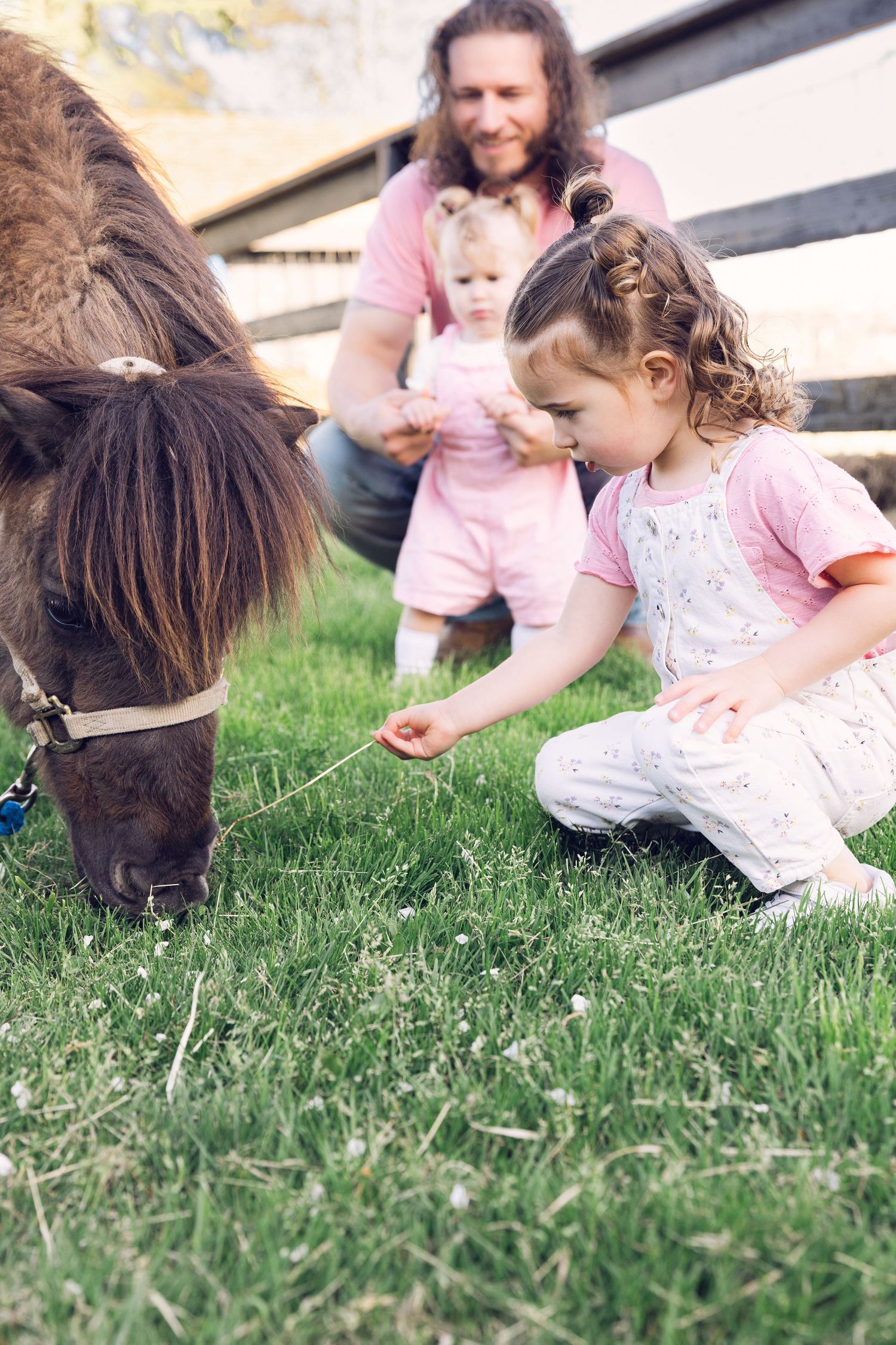 Young girl feeds a brown pony on green grass while father holds toddler on a sunny farm day.