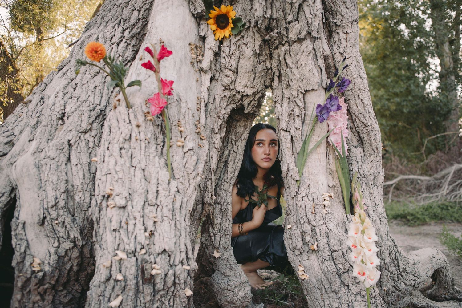 IL Photography Portraitfotografie Sila tree flowers