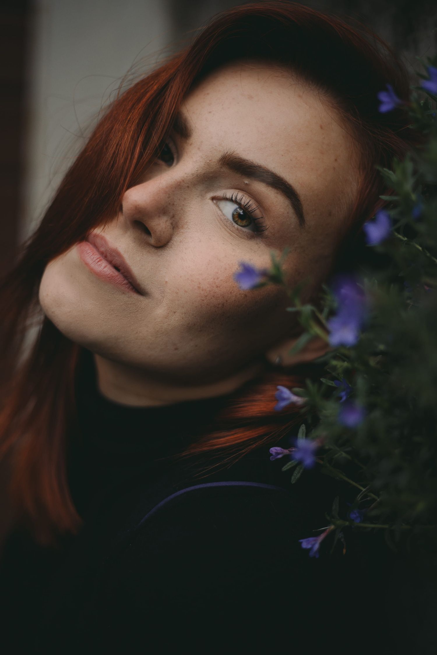 IL Photography Portraitfotografie Moe purple flower