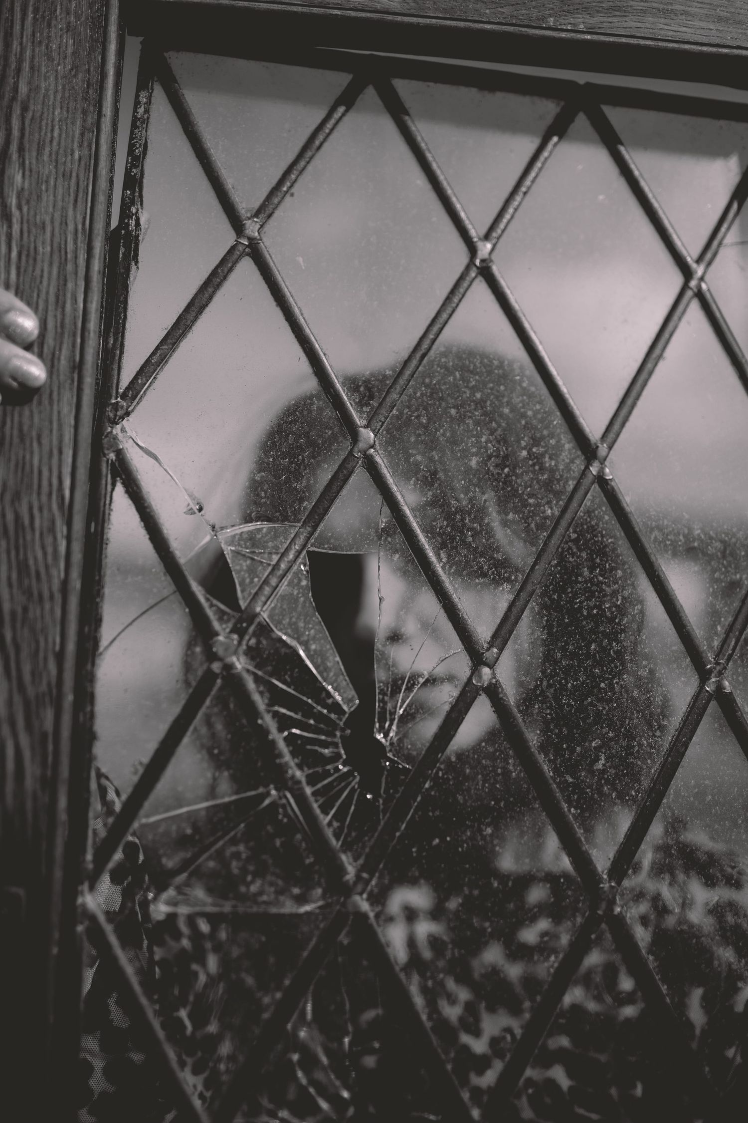 IL Photography Portraitfotografie Jenny window