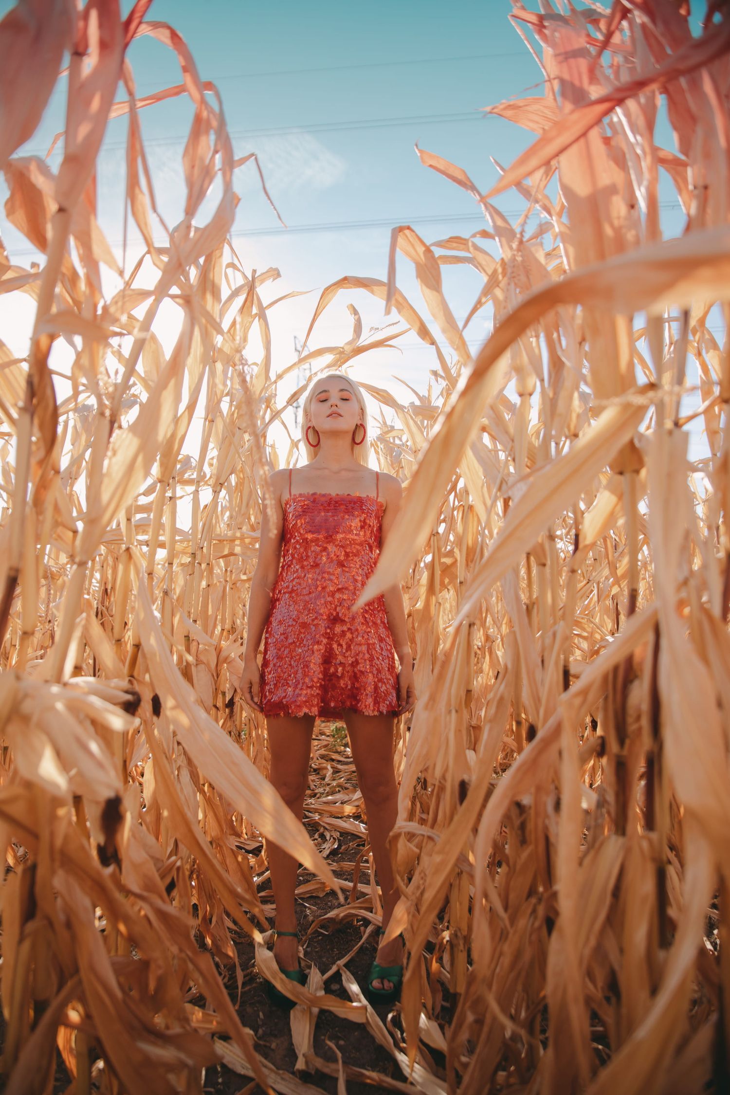 IL Photography Portraitfotografie Maike field