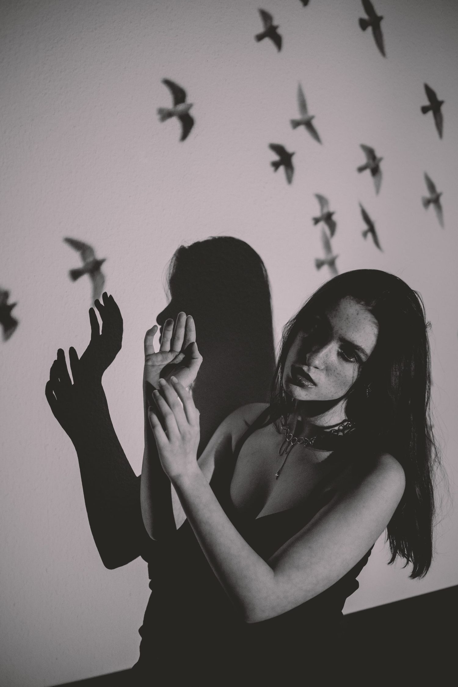 IL Photography Portraitfotografie Anastasia birds projector