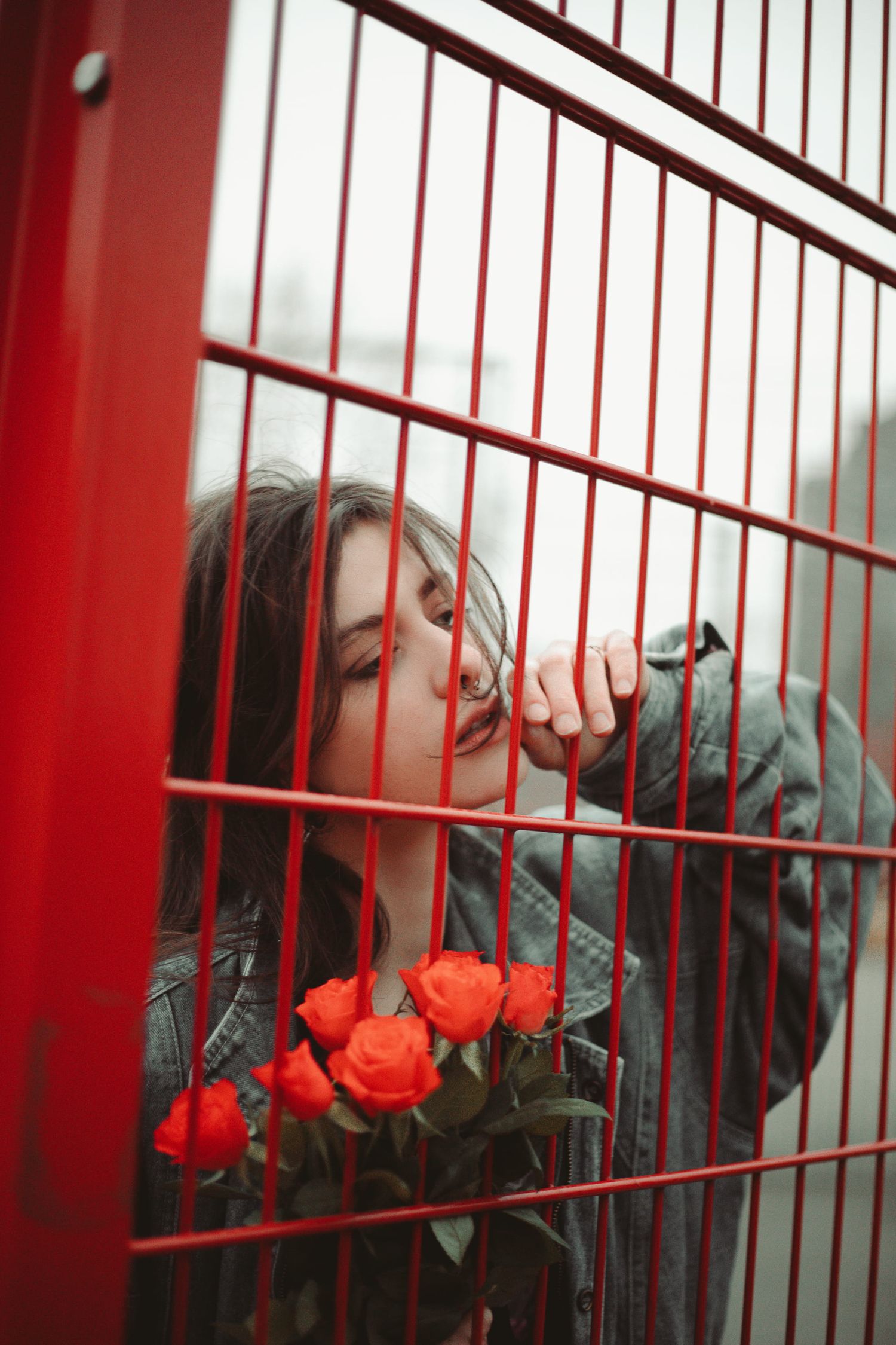 IL Photography Portraitfotografie Jenny red roses