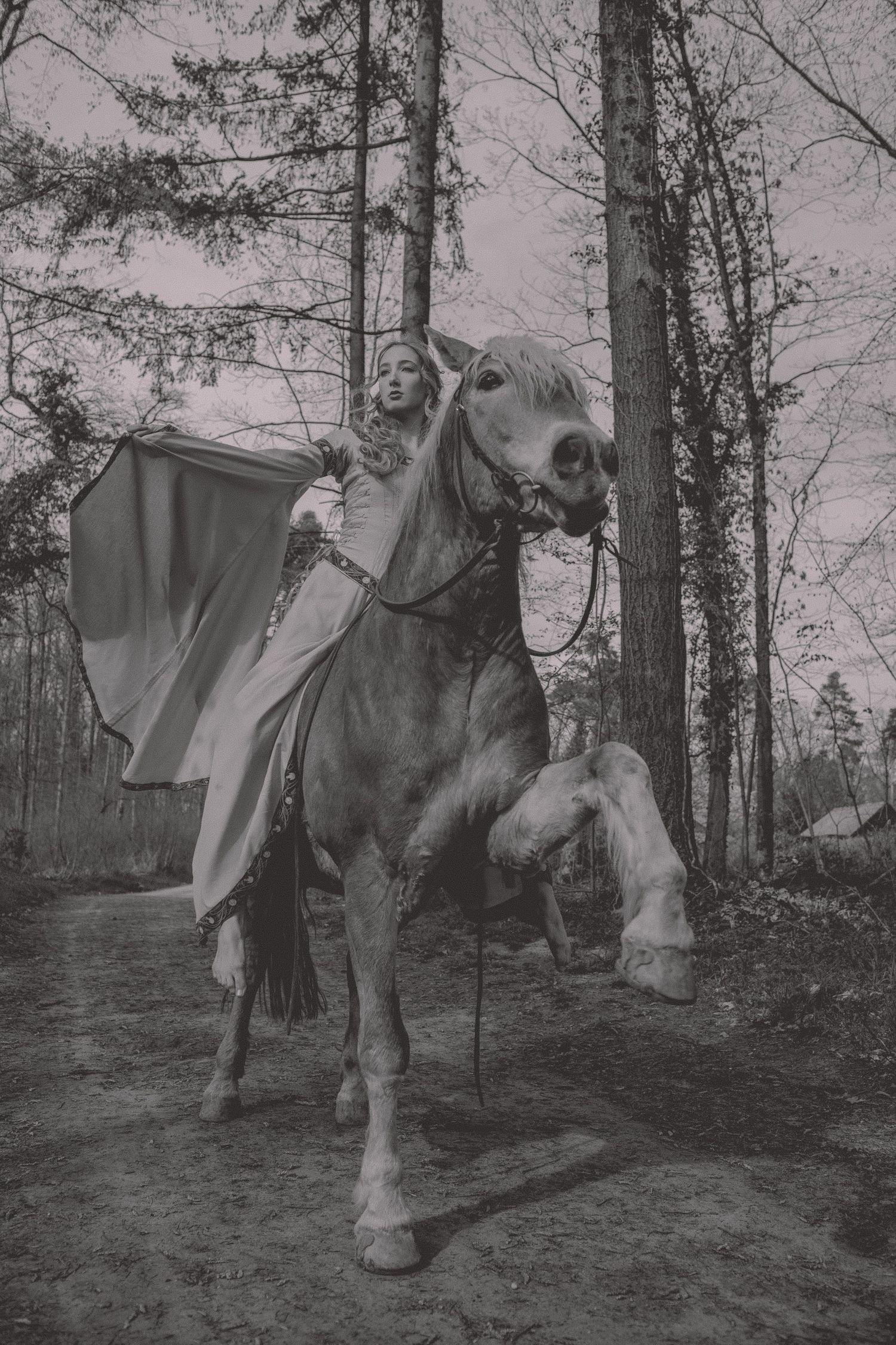 IL Photography Portraitfotografie Amy horse