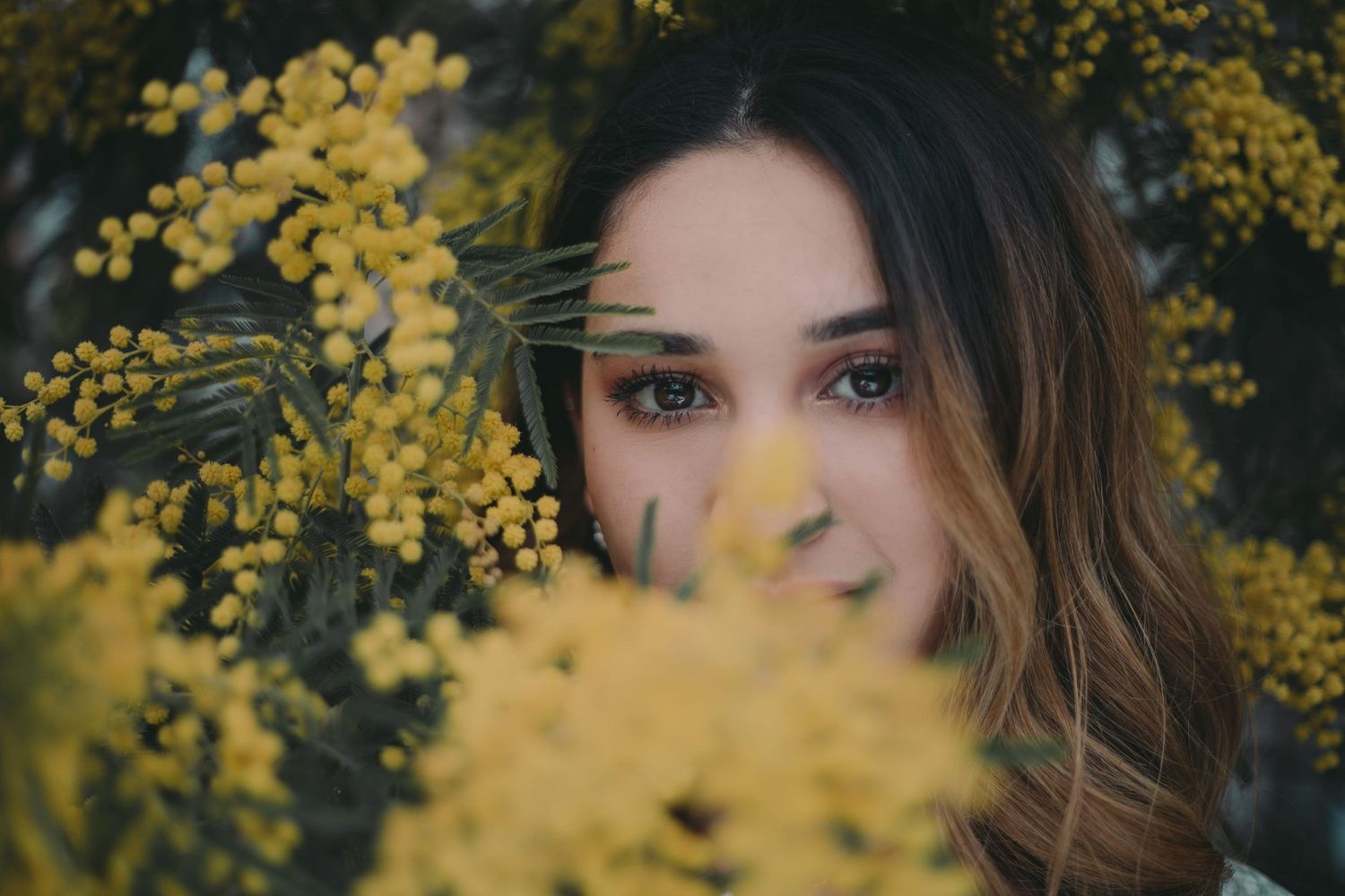 IL Photography Portraitfotografie Carlina yellow flowers