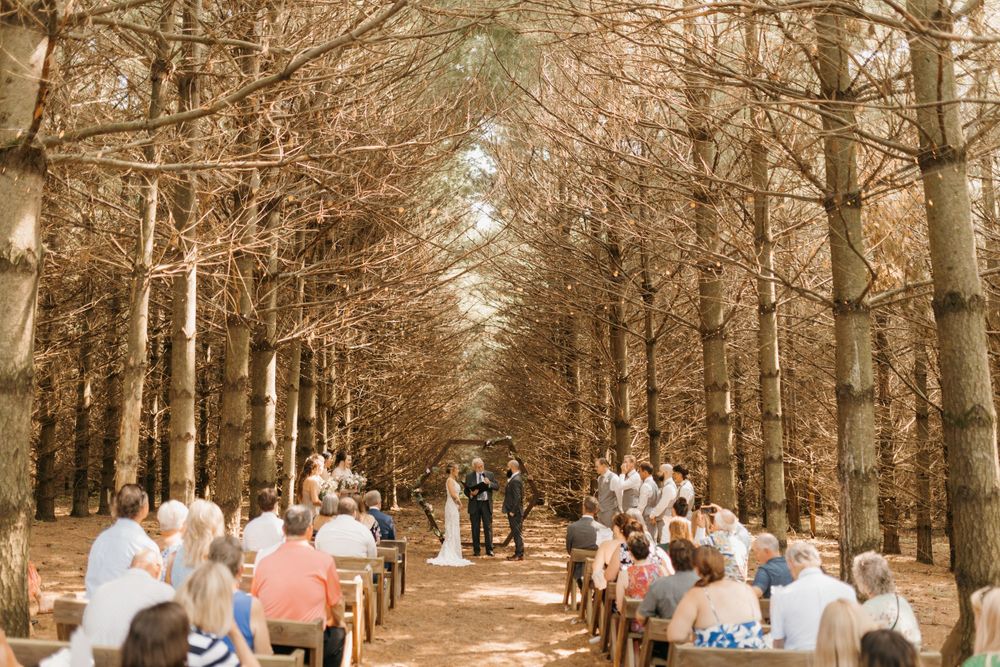 Wide view of outdoor woodland wedding ceremony with guests seated along tree-lined aisle in autumn forest.