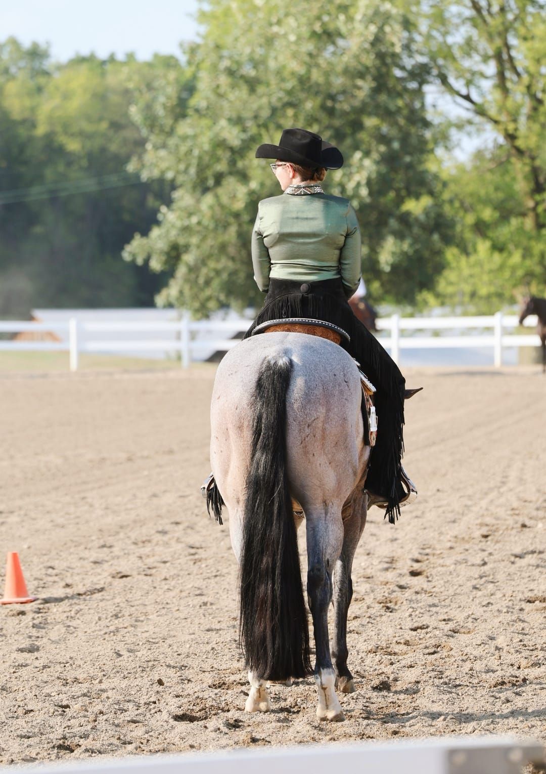 AQHA, NSBA, APHA, PTHA. Chicago, Illinois. photographer, graphic designer, content creator, logos, ads, custom, horses, equine, equestrian