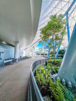 Modern glass-roofed walkway with curved planters featuring lush tropical plants and geometric architectural elements.