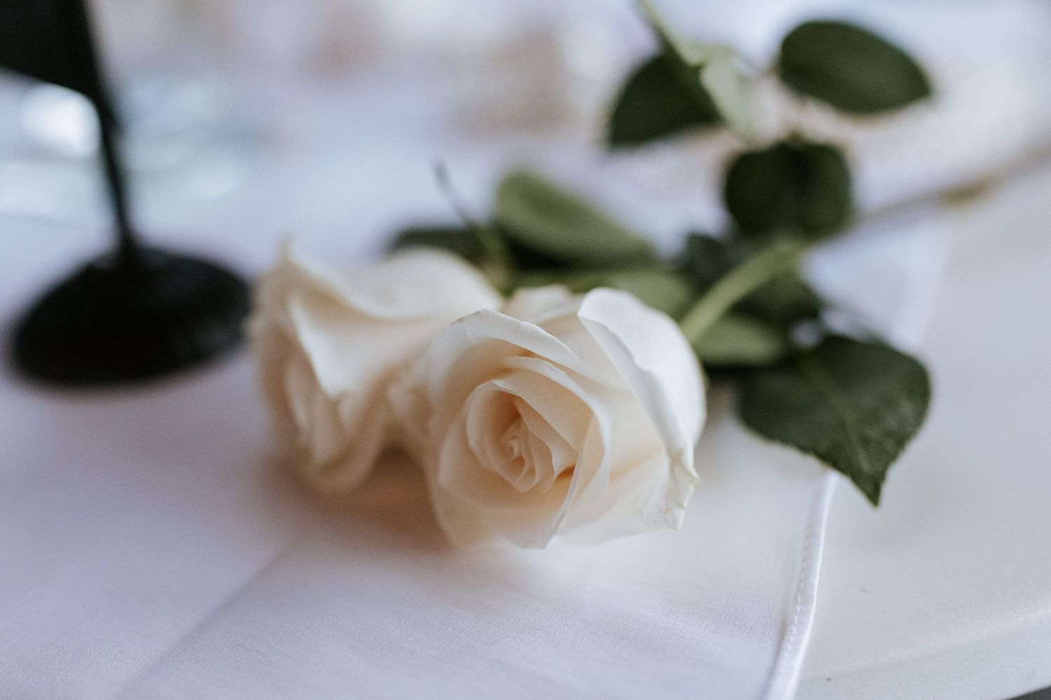 A single white rose with green leaves lies elegantly on a white tablecloth.