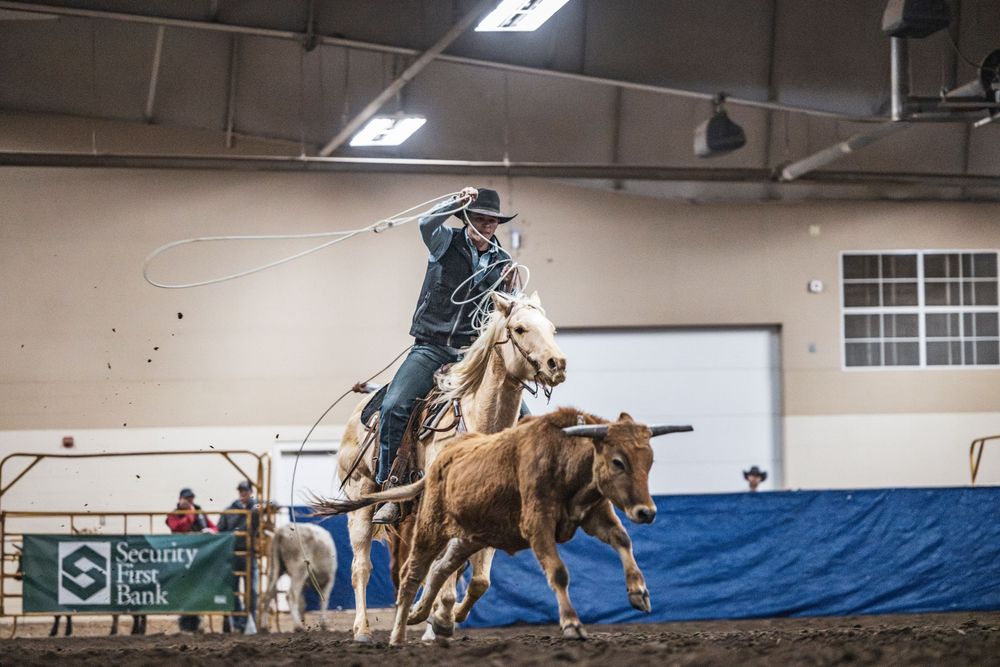 A sequence of action shots showing team roping practice in an indoor arena with cowboys and horses in motion.