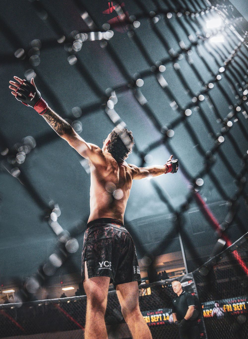 MMA fighter celebrating victory with arms raised in fighting cage.