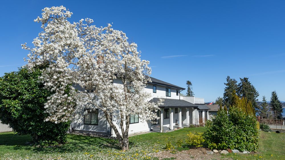Elfriede Jasmine Photography Real Estate Media