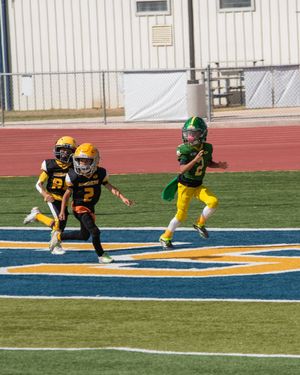Football players in black and yellow uniforms compete for possession during a game on an artificial turf field.