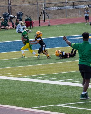 A football player in green and yellow uniform dives to make a tackle during a game on the field.
