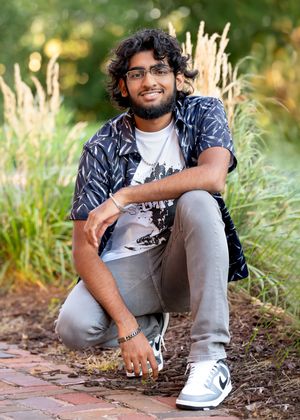 A person in a patterned shirt crouches on a brick path next to ornamental grasses during golden hour for minneapolis senior photography